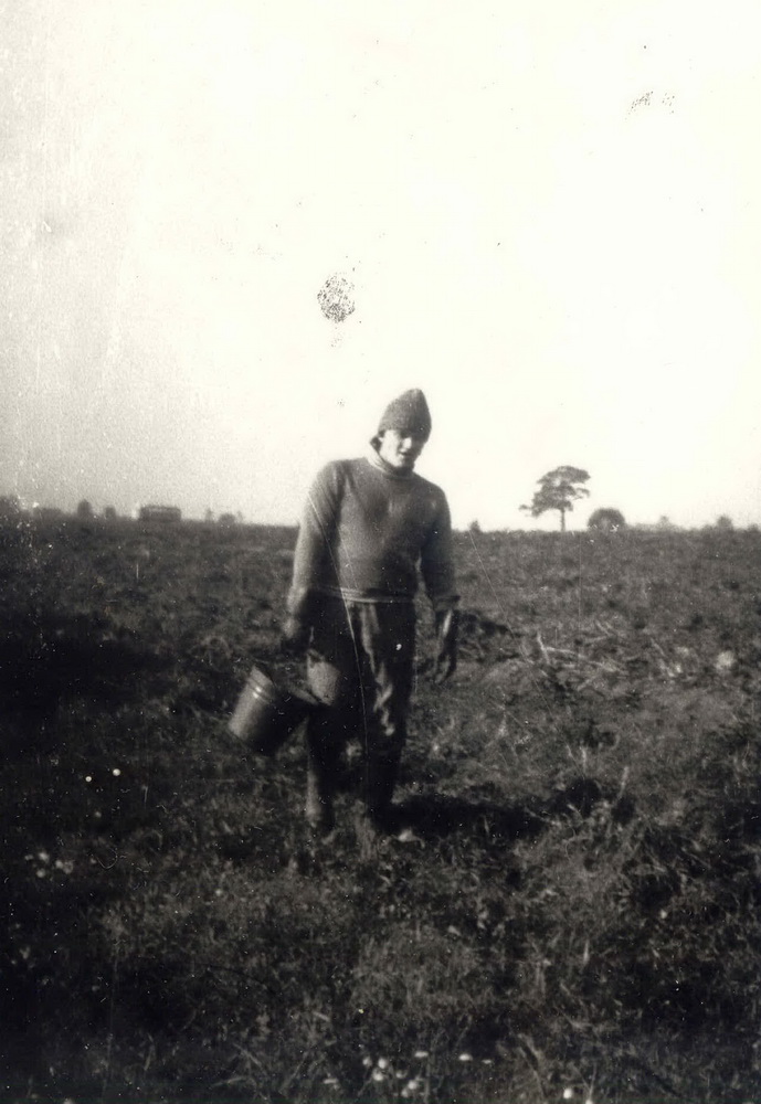 На бульбе ў вёсцы Сінія Горы Смалявіцкага раёна. Верасень 1990-га года