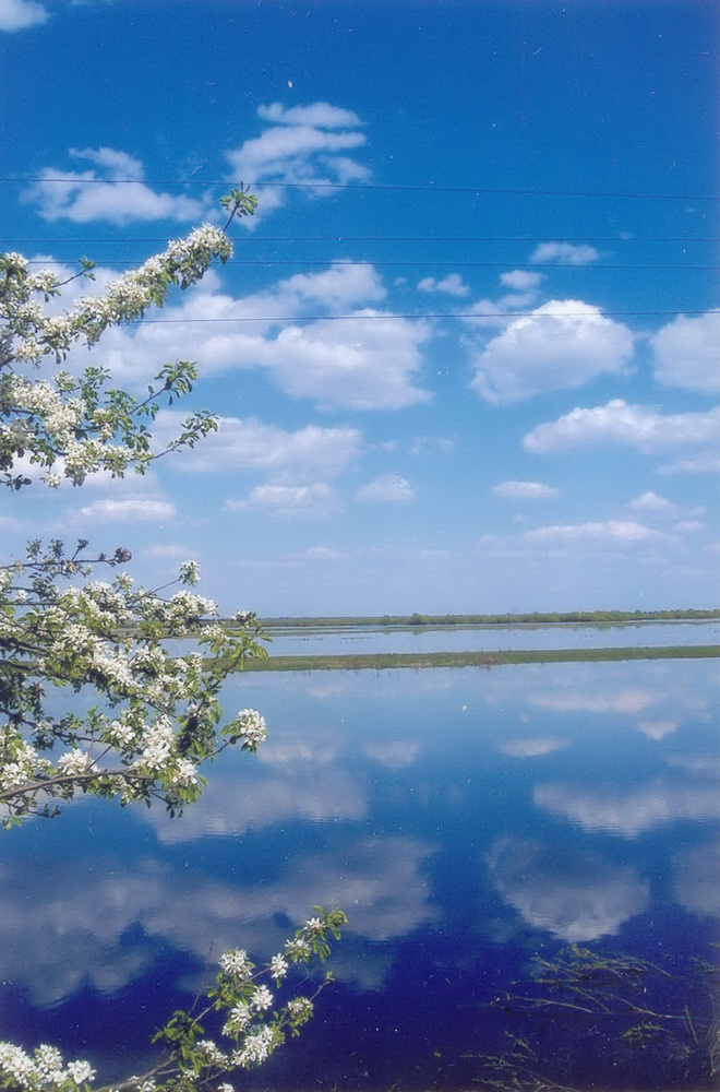 Возера Свіцязь. Фота Жанны Літвіной