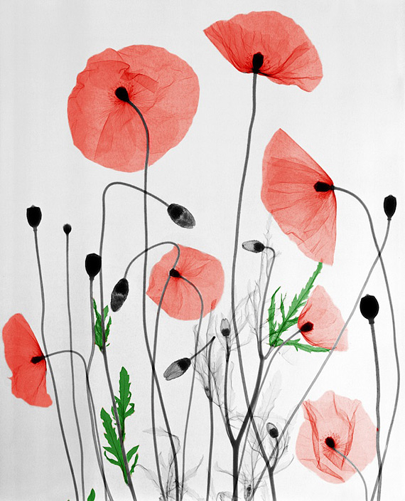 Arie van't Riet Arie van't Riet