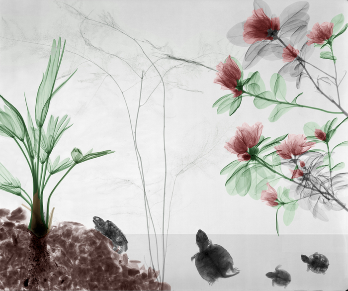 Arie van't Riet Arie van't Riet