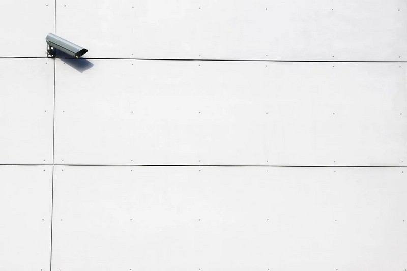 Фото: pexels.com