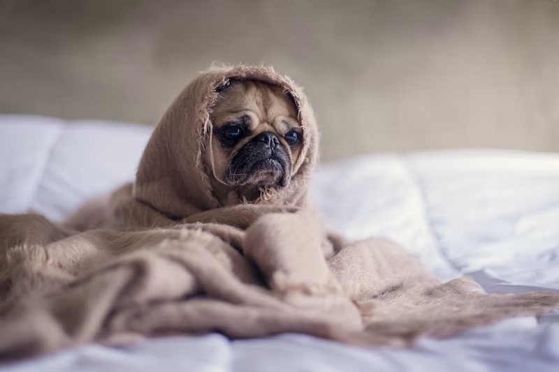 Фота: unsplash.com