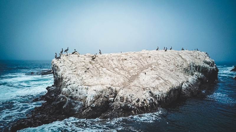 Фота: pexels.com