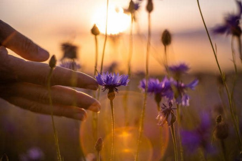 Photo: unsplash.com