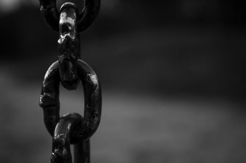 Фота: pexels.com