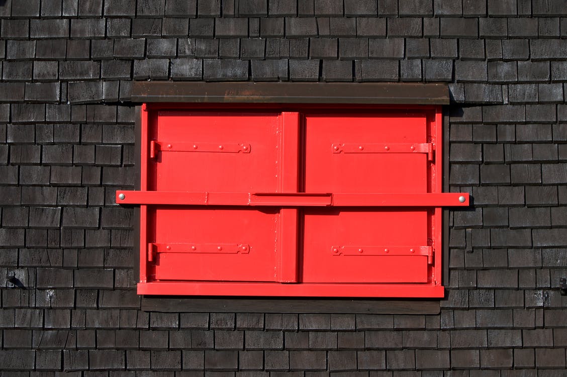 Фото: pexels.com