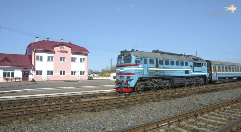 Чашнікі. Фота: vetliva.ru