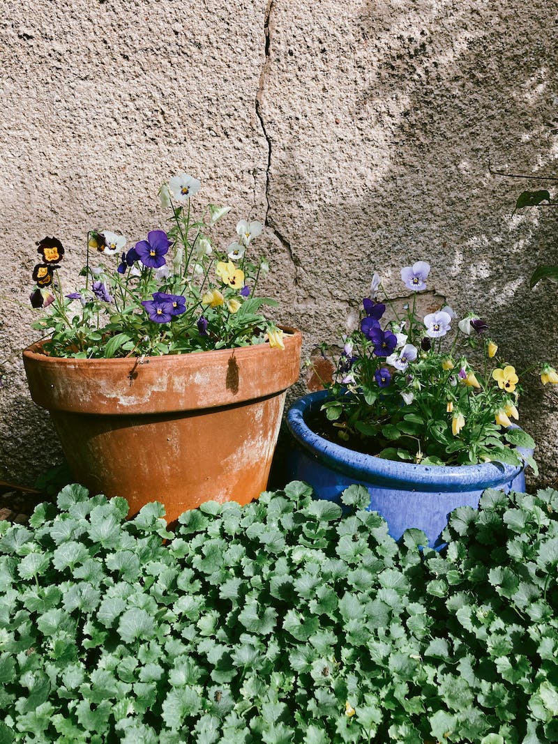 Фота: pexels.com