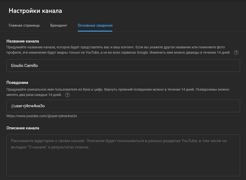 Скриншот настроек YouTube