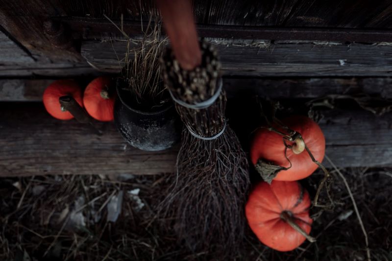 Фото: pexels.com