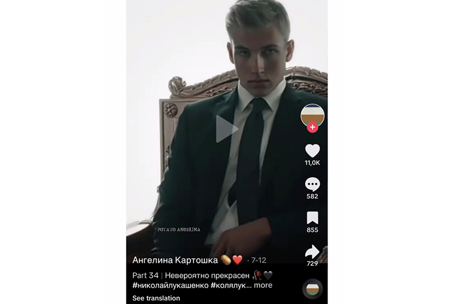 Скриншот видео одного из аккаунтов в TikTok