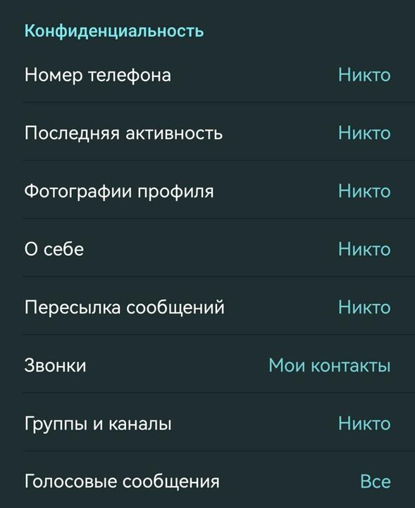 Так должны выглядеть настройки конфиденциальности. Скриншот настроек Telegram