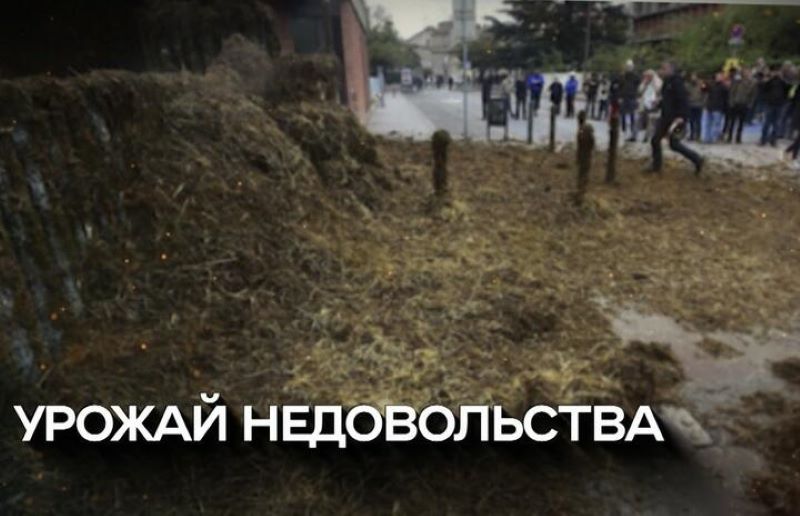 Заставка сюжета телеканала ОНТ о протестах европейских фермеров, февраль 2024 года. Фото: скриншот ОНТ