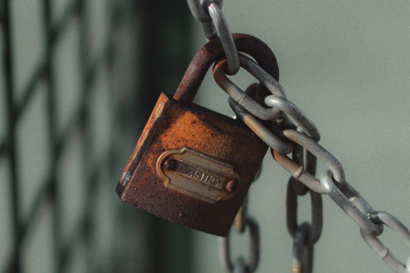 Wojtek Pacześ / pexels.com
