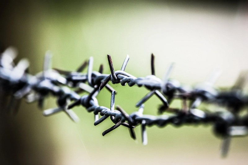 Фото: pexels.com