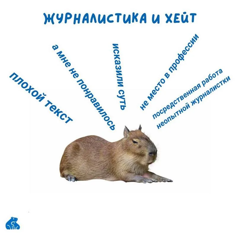 журналистика и хейт
