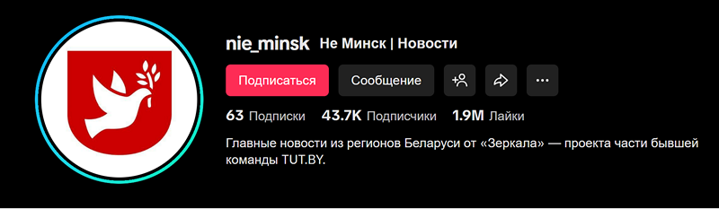 TikTok «Зеркала» в списке экстремистских материалов